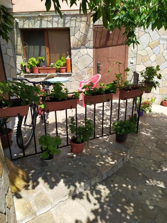 Гостевой дом Къща за гости - Дикрас Хасково